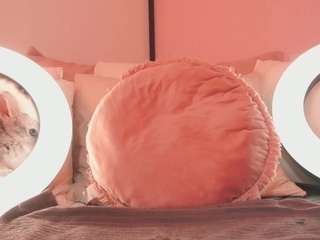 kirstendanston webcam