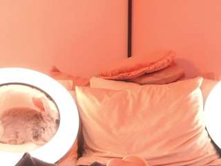 kirstendanston webcam