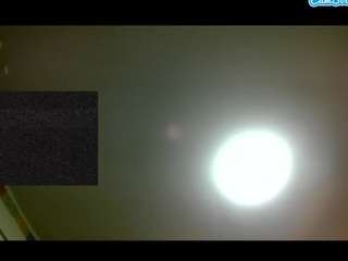 asskitten live cam profile