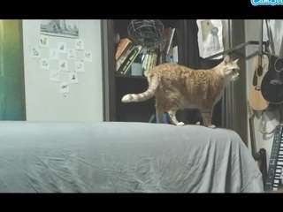 asskitten live cam profile