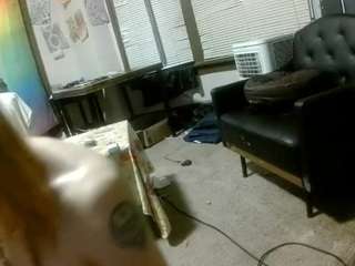 asskitten webcam