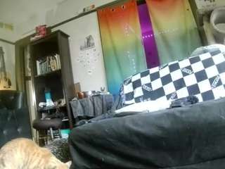 asskitten