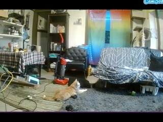 AssKitten live cam preview