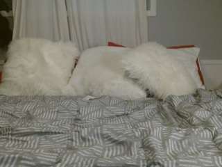 realdiamonddoll webcam