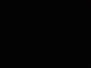mulattomamii