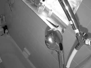 voyeurcam charleys bathroom