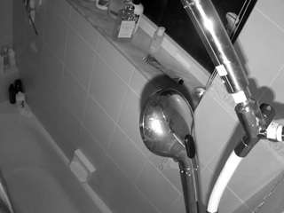voyeurcam charleys bathroom