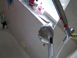 voyeurcam charleys bathroom