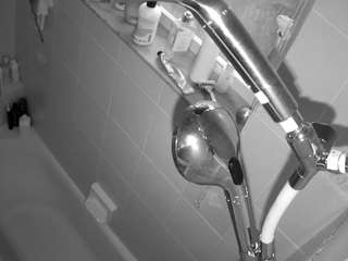 voyeurcam charleys bathroom