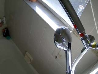 voyeurcam charleys bathroom