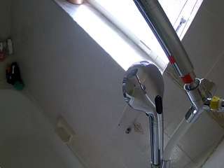voyeurcam charleys bathroom