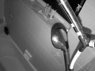 voyeurcam charleys bathroom