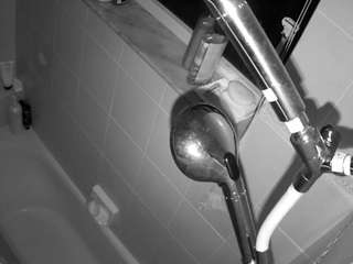 voyeurcam charleys bathroom