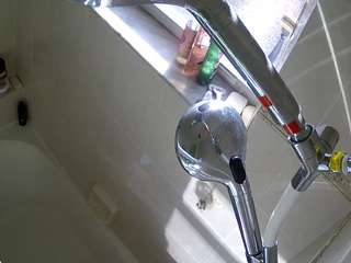 voyeurcam-charleys-bathroom