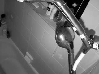 voyeurcam charleys bathroom