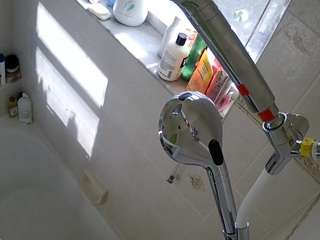 voyeurcam-charleys-bathroom webcam model