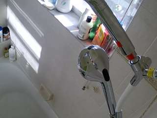 voyeurcam-charleys-bathroom webcam model