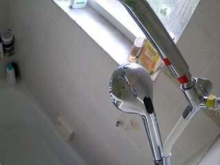 voyeurcam charleys bathroom