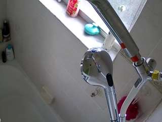 voyeurcam-charleys-bathroom