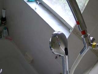 voyeurcam-charleys-bathroom