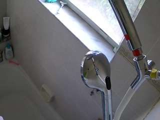 voyeurcam-charleys-bathroom