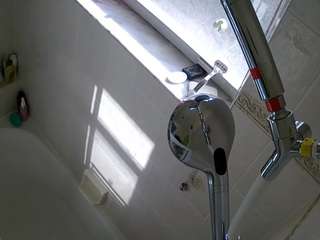 voyeurcam-charleys-bathroom