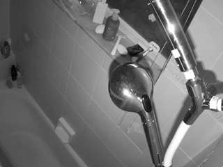 voyeurcam charleys bathroom