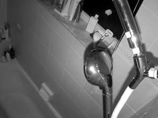 voyeurcam charleys bathroom