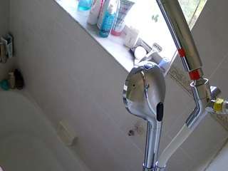 voyeurcam-charleys-bathroom webcam