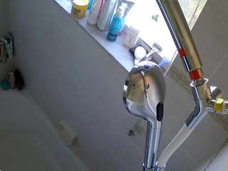 voyeurcam-charleys-bathroom webcam