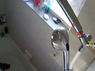 voyeurcam-charleys-bathroom webcam