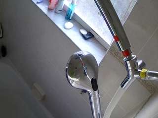 voyeurcam charleys bathroom