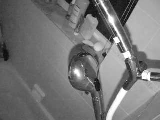 voyeurcam-charleys-bathroom webcam