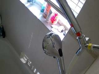 voyeurcam-charleys-bathroom