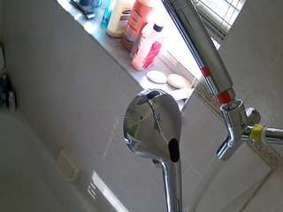 voyeurcam-charleys-bathroom