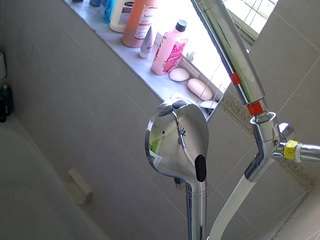 voyeurcam charleys bathroom