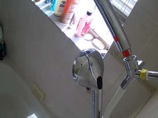 voyeurcam-charleys-bathroom