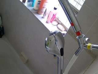 voyeurcam-charleys-bathroom