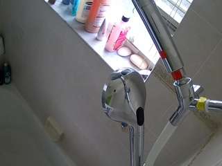 voyeurcam-charleys-bathroom webcam