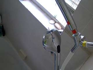 voyeurcam-charleys-bathroom webcam