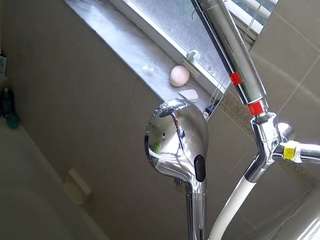 voyeurcam-charleys-bathroom webcam