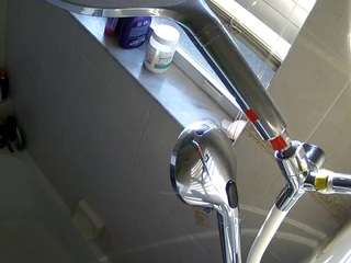 voyeurcam charleys bathroom