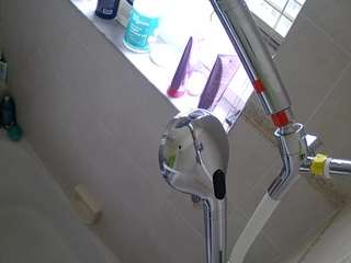 voyeurcam-charleys-bathroom Live Webcam on CamSoda