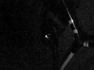 voyeurcam charleys bathroom