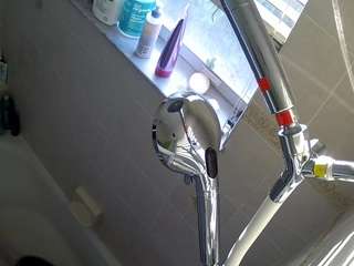 voyeurcam charleys bathroom