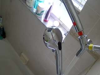 voyeurcam charleys bathroom