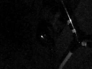 voyeurcam-charleys-bathroom