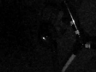 voyeurcam-charleys-bathroom