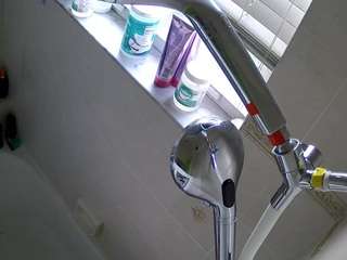 voyeurcam charleys bathroom