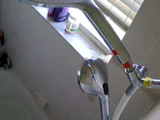voyeurcam-charleys-bathroom